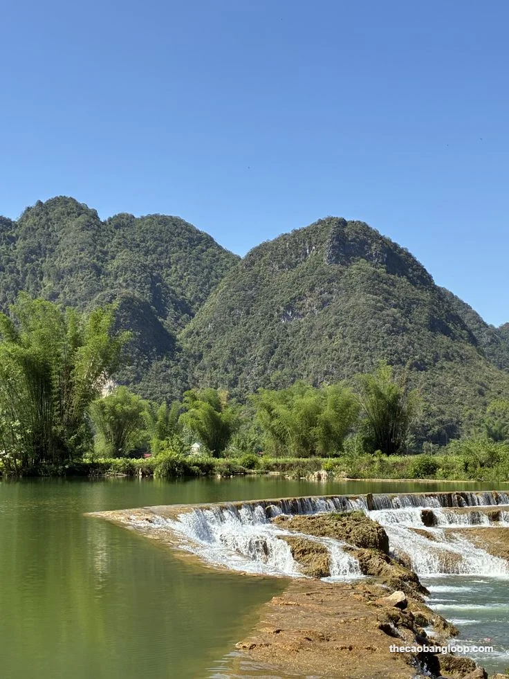 Ngoc Con Cao Bang