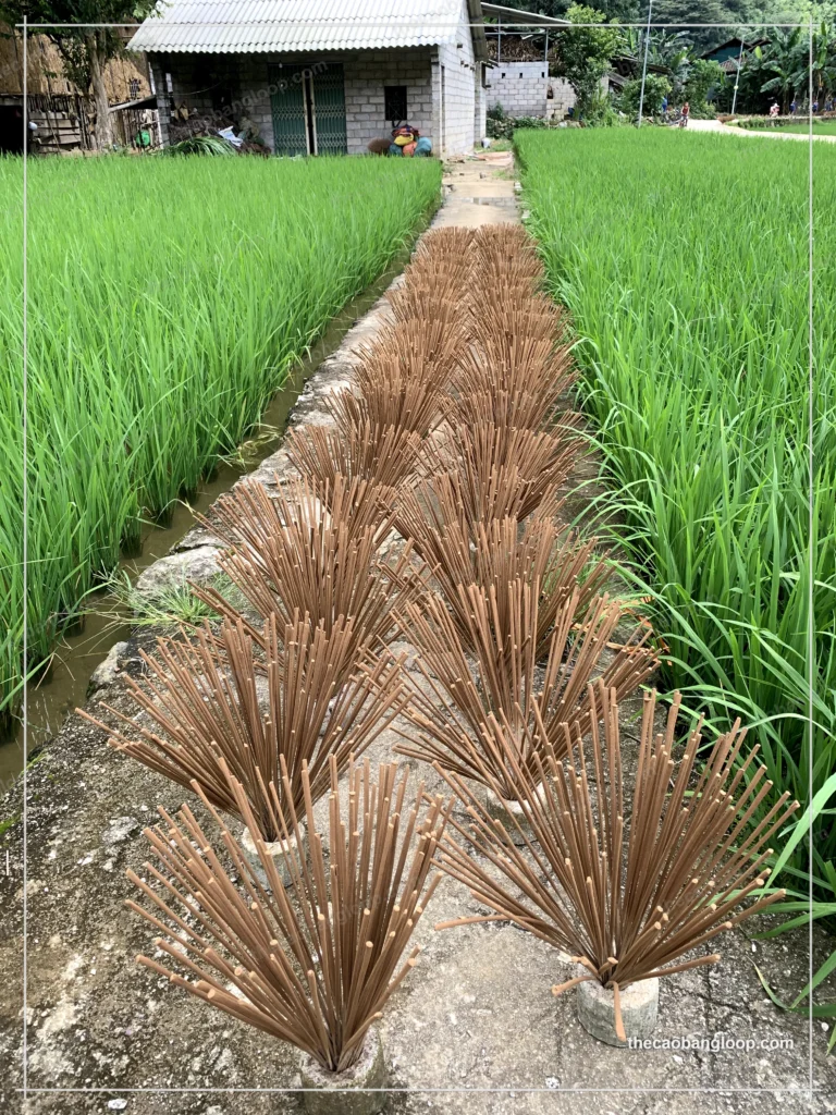 Phia Thap Incense Village